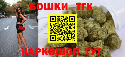 гидра Партизанск