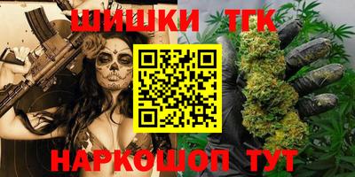 гидра Партизанск