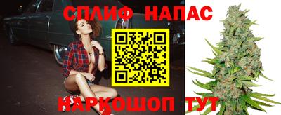 гидра Партизанск