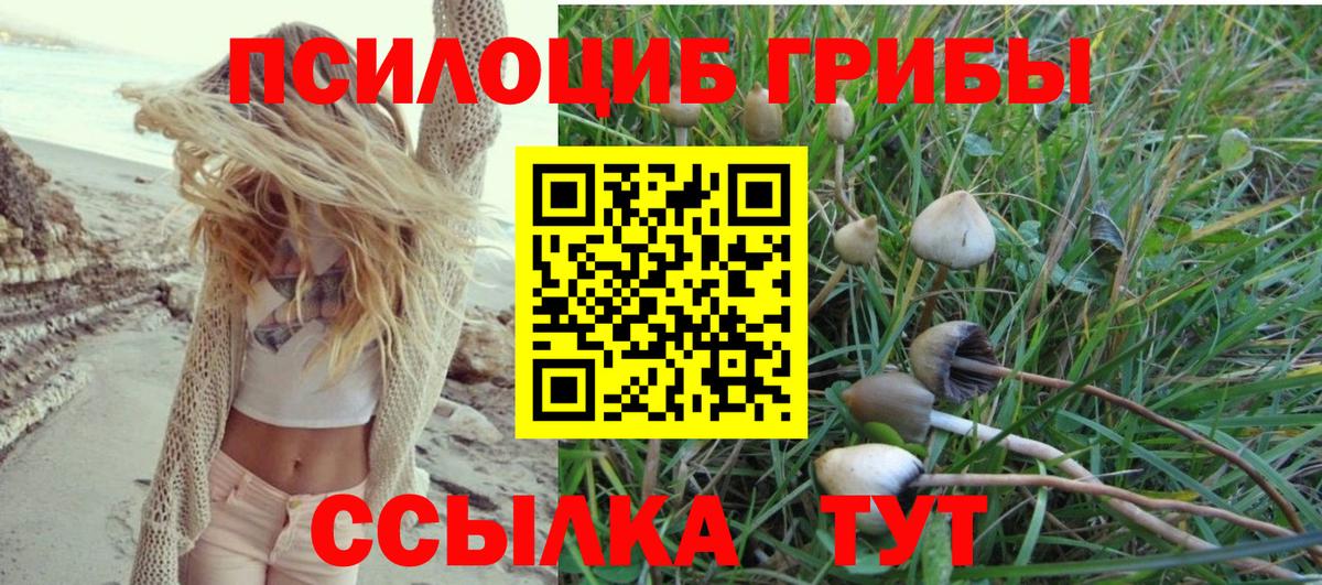 Галлюциногенные грибы Psilocybe  Вход с VPN  Галлюциногенные грибы Psilocybe  Полысаево 